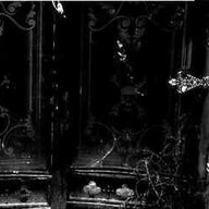 Женя Макалістер