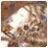 TSV_webAlope